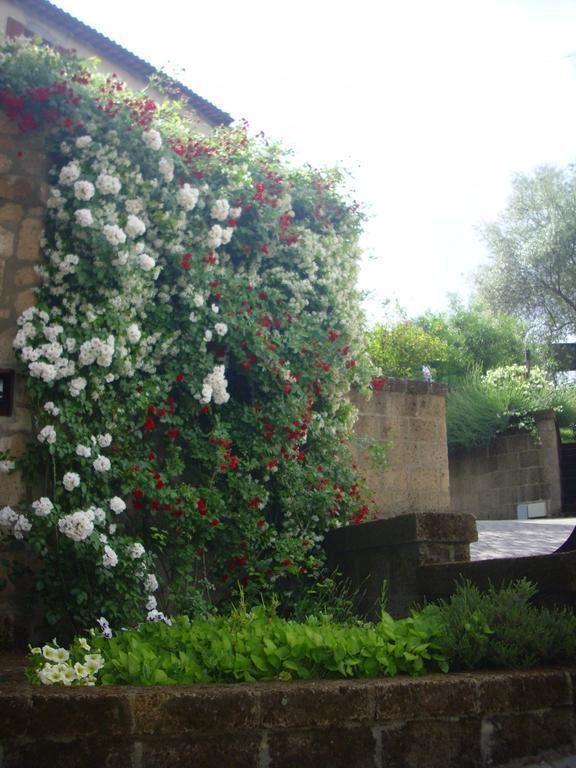 Chiara E Benedetta Villa Degli Ulivi Orvieto Bagian luar foto